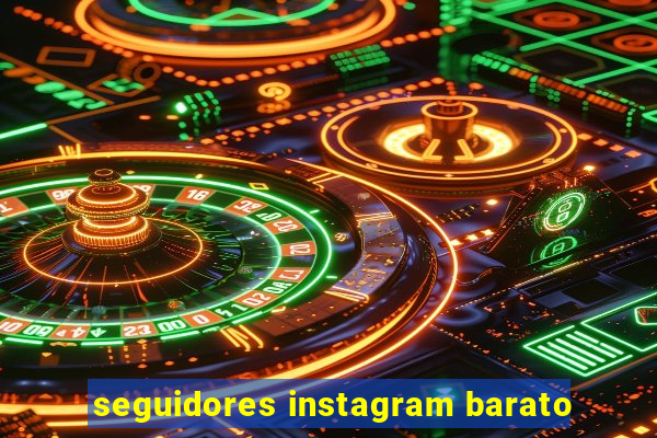 seguidores instagram barato